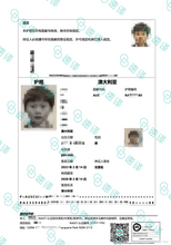 Load image into Gallery viewer, NAATI English–Chinese Passport Translation (DFAT Acceptable)