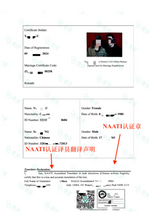 Load image into Gallery viewer, Sydney-Based Translation Service by NAATI-Certified Translator
