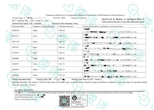 Load image into Gallery viewer, Bank Statement Translation(NAATI-Certificated)

